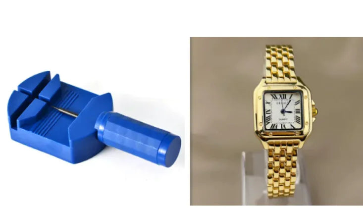 Elegant Steel Roman Scale Watch