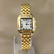 Elegant Steel Roman Scale Watch