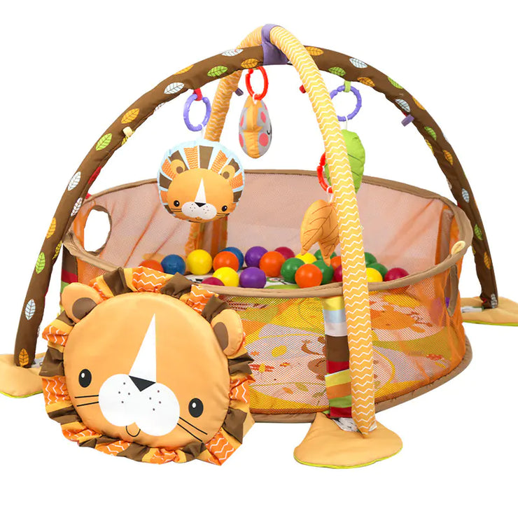 Baby JoyPlay Mat & Gym