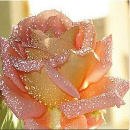 Pink Flower Diamond Painting, 5D DIY Cross Stitch Art