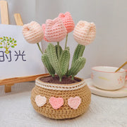 DIY Tulip & Daisy Knit Kit