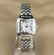 Elegant Steel Roman Scale Watch