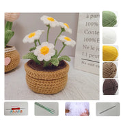 DIY Tulip & Daisy Knit Kit